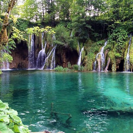 Fenomen Plitvice Gornja Jezera Villa Plitvica selo Exterior foto